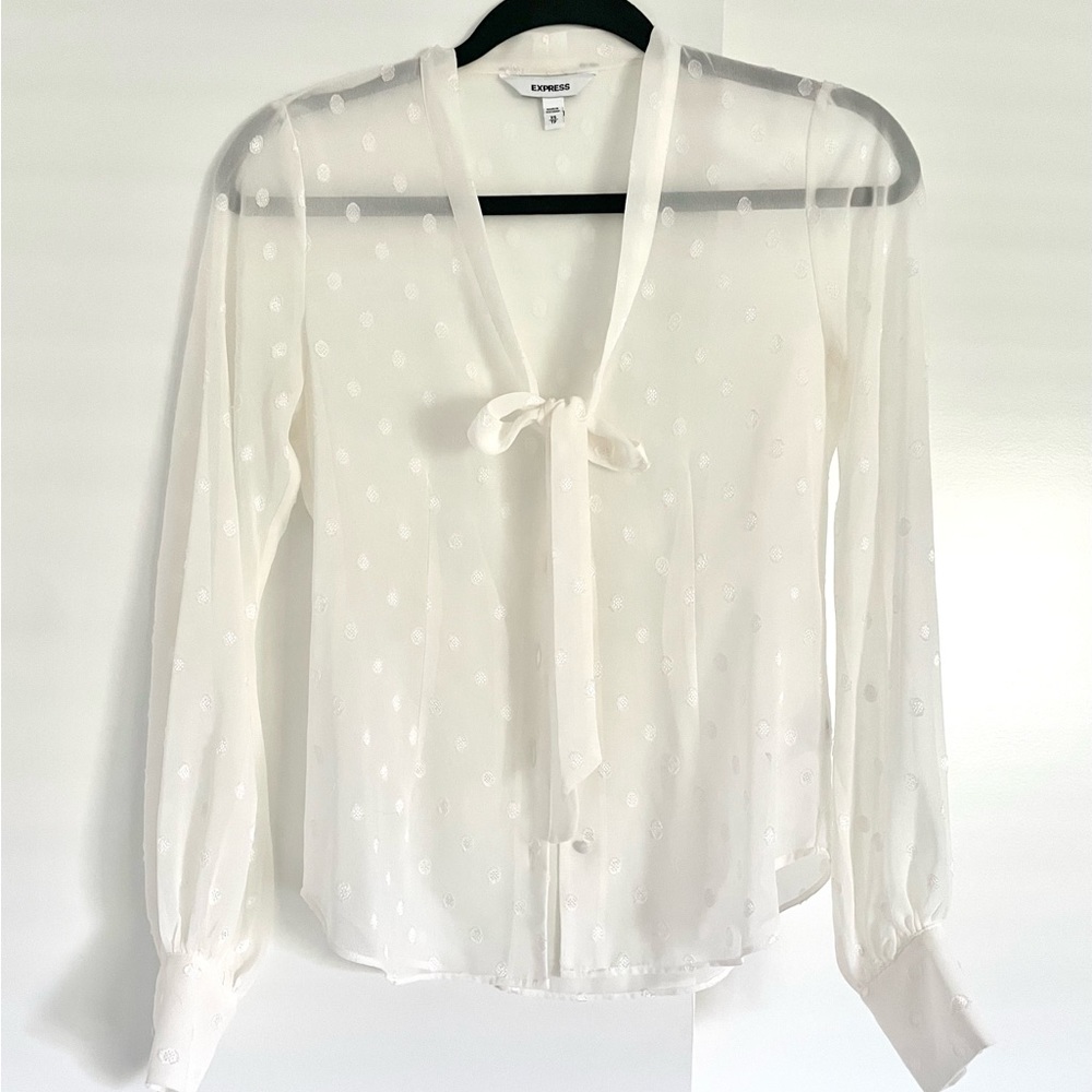 Express XS Balloon Sleeve sheer top